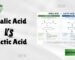 malic acid vs lactic acid