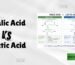 malic acid vs lactic acid