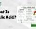 what is malic acid