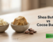 shea butter vs cocoa butter