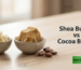 shea butter vs cocoa butter