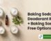 baking soda deodorant recipe + baking soda free options